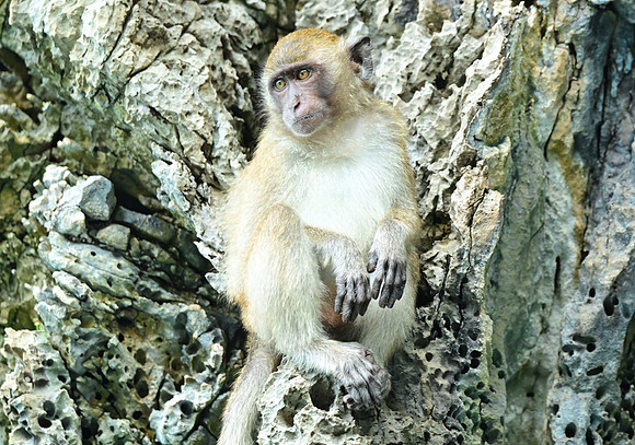 DSC_2008