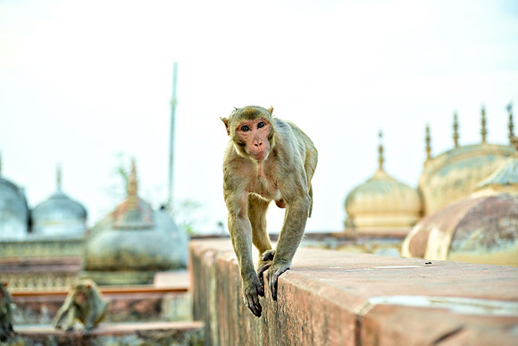 DSC_6304