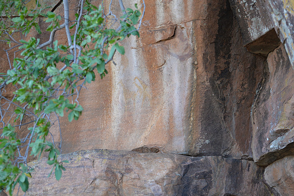 DSC_7477