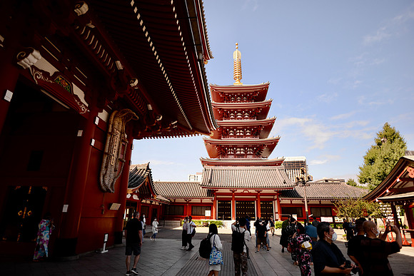 DSC_0454