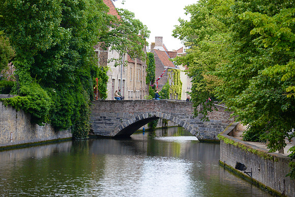 DSC_8186