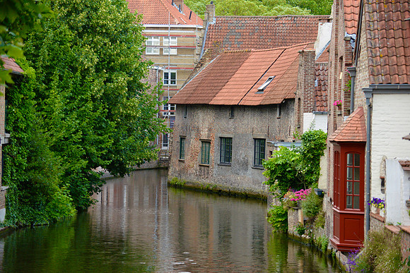 DSC_8173