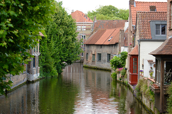 DSC_8171