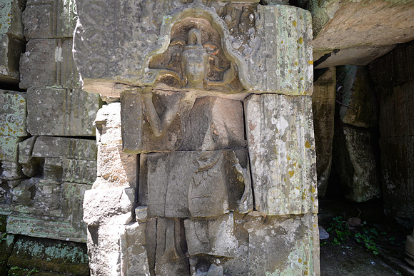 DSC_8720