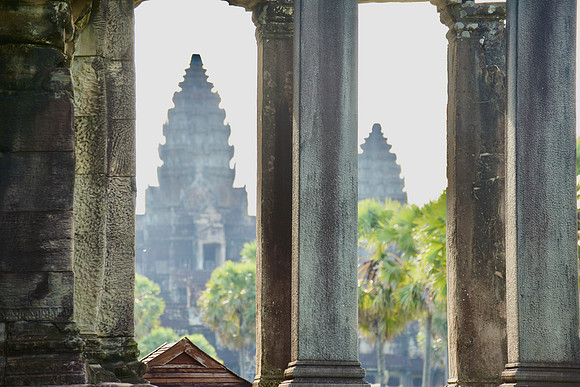 DSC_8498