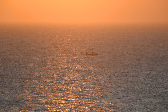 DSC_9541