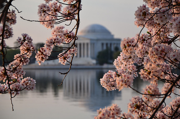 Jefferson Memorial, Washington, DC