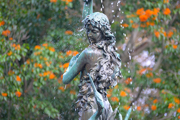 Royal Botanic Gardens, Sydney, Australia