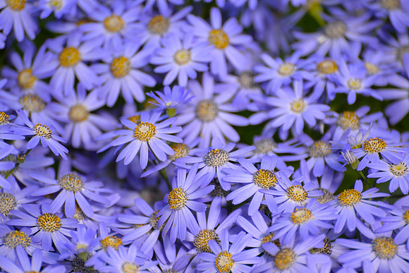 DSC_6362