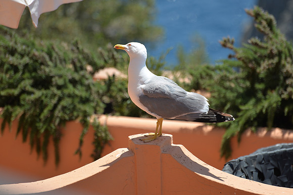 Capri, Italy