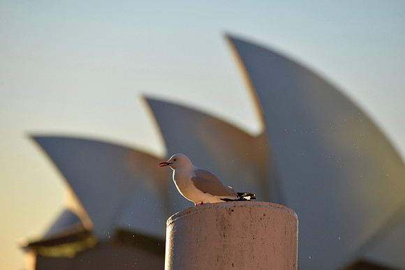 Sydney Opera House, Sydney, Australia