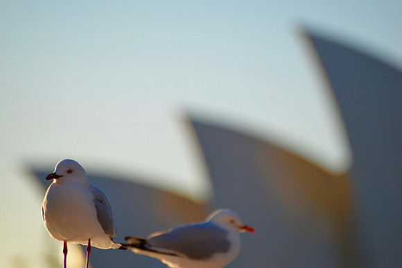 Sydney Opera House, Sydney, Australia