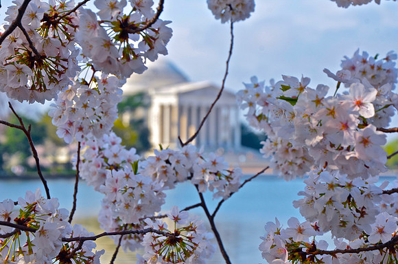Jefferson Memorial, Washington, DC