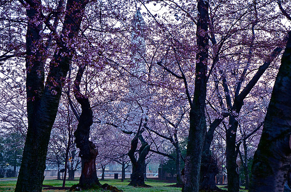Washington Monument, Washington, DC