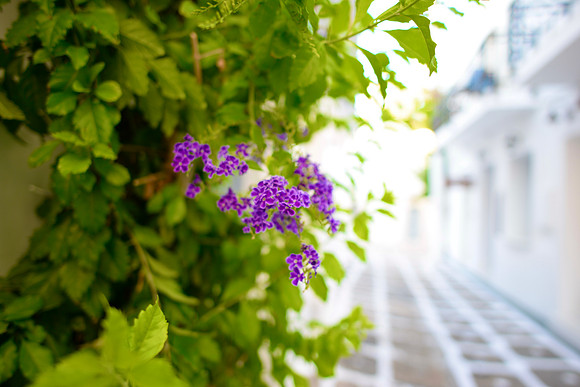 Paros, Greece