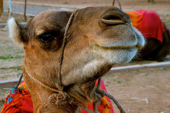 Marrakech, Morocco