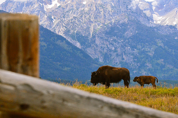 Grand Teton National Park, Wyoming