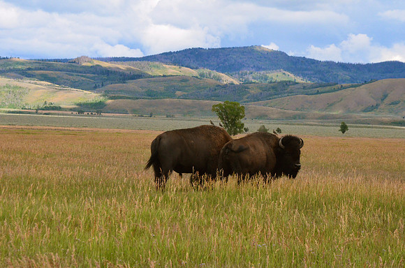 Grand Teton National Park, Wyoming