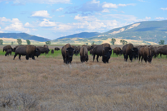 Grand Teton National Park, Wyoming
