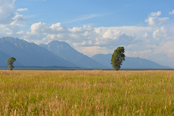 Grand Teton National Park, Wyoming