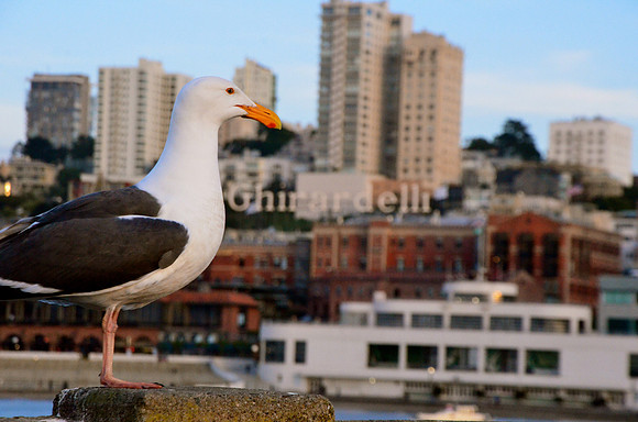 San Francisco, California