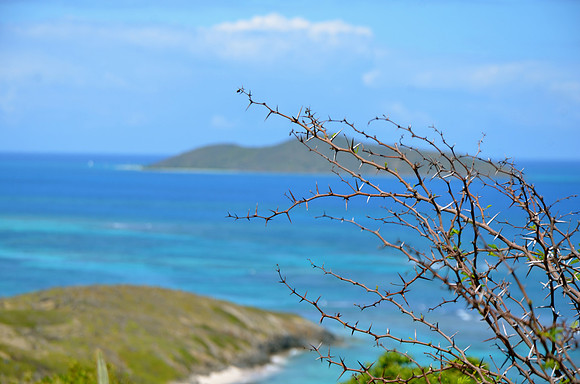 Buck Island, St. Croix, US Virgin Islands