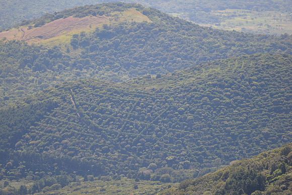 DSC_5703