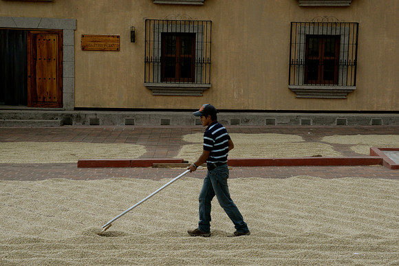 Filadelfia Coffee Resort, La Antigua, Guatemala