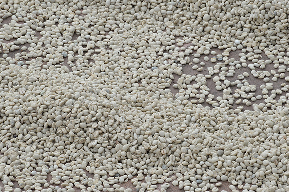 Filadelfia Coffee Resort, La Antigua, Guatemala