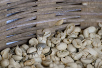 Filadelfia Coffee Resort, La Antigua, Guatemala