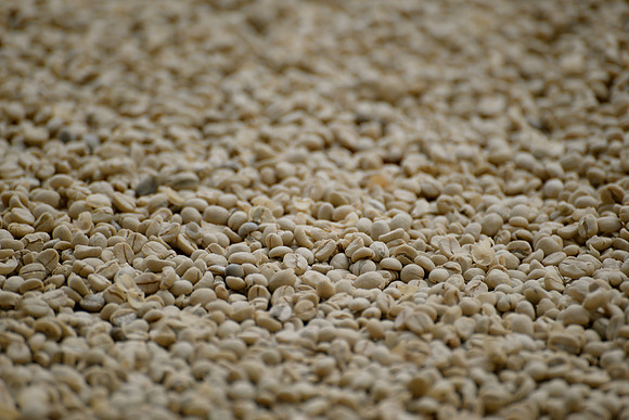 Filadelfia Coffee Resort, La Antigua, Guatemala