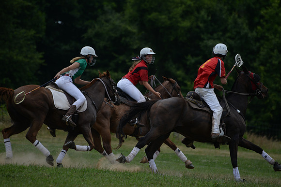 Polo Cross, Maryland