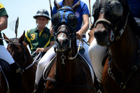 Polo Cross, Maryland