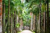 Rio de Janiero, Brazil