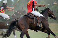 Polo Cross