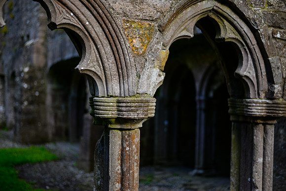 Bective Abbey, Meath, Ireland