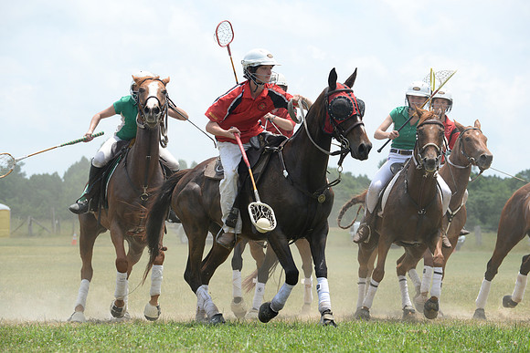 Polo Cross, Maryland