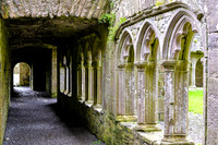 Bective Abbey, Meath, Ireland