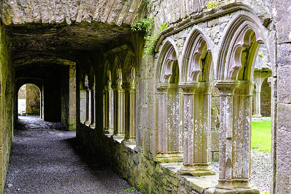 Bective Abbey, Meath, Ireland