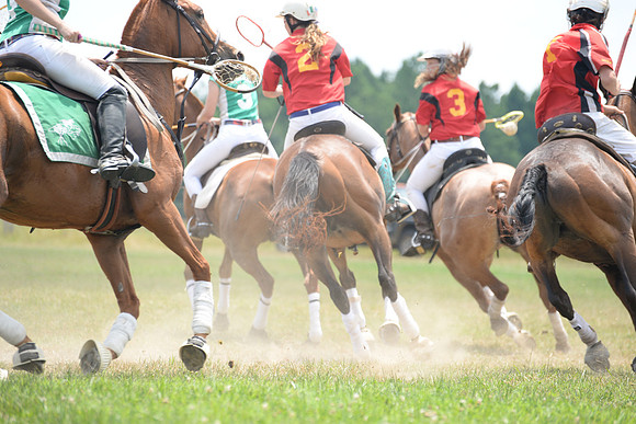 Polo Cross, Maryland