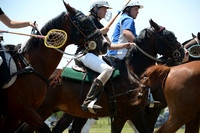 Polo Cross, Maryland