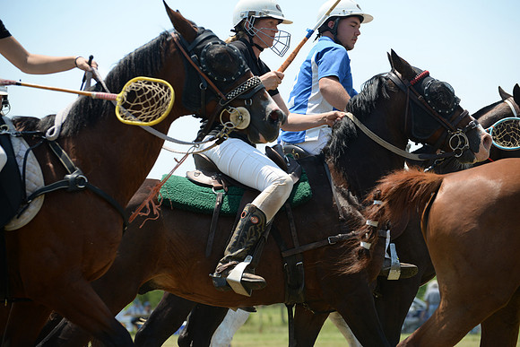 Polo Cross, Maryland