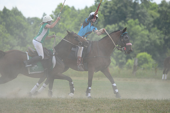 Polo Cross, Maryland