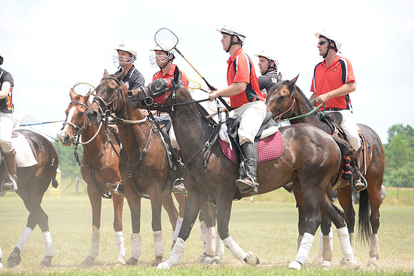 Polo Cross, Maryland