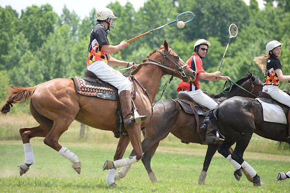 Polo Cross, Maryland