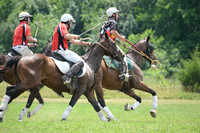 Polo Cross, Maryland