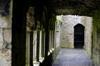 Bective Abbey, Meath, Ireland