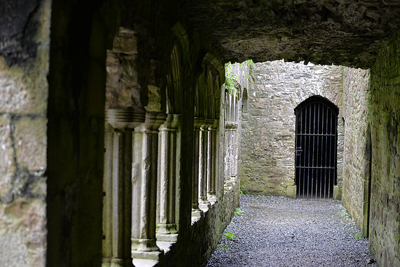 Bective Abbey, Meath, Ireland