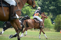 Polo Cross, Maryland