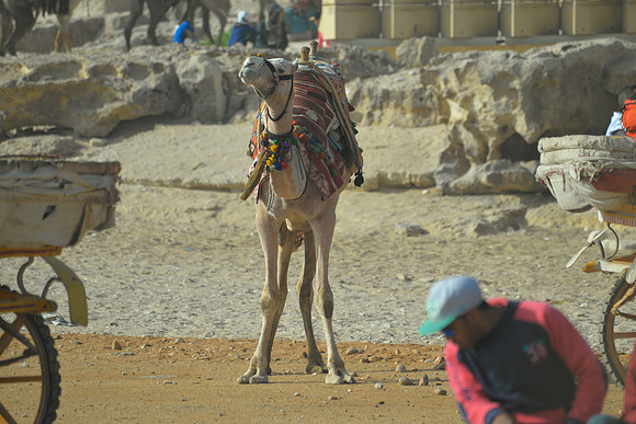 Pyramids of Giza, Cairo, Egypt